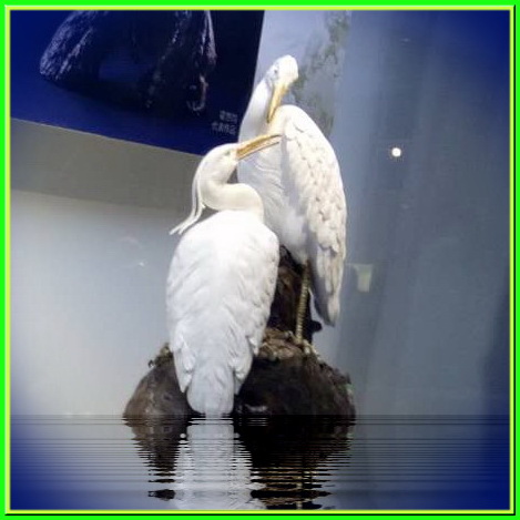 �x�Ї�(gu��)�մ�ˇ�g(sh��)��������Ʒ(li��n)չ�_(k��i)Ļ