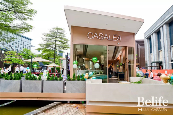 �������ͣ�CASALEA & H BAR��ʽ�l(f��)�����_������������