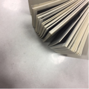 20161114 ICC�ɴu������׃���fǧ���پW(w��ng)ÿ�ܳ�Ҏ(gu��)���£�665_���D��.jpg