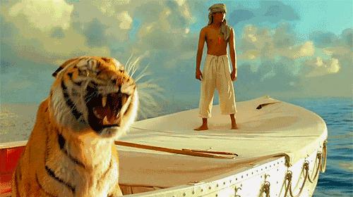 ����Ҫ�������@�扦����(d��o)�ݡ������z�����ɾ���������